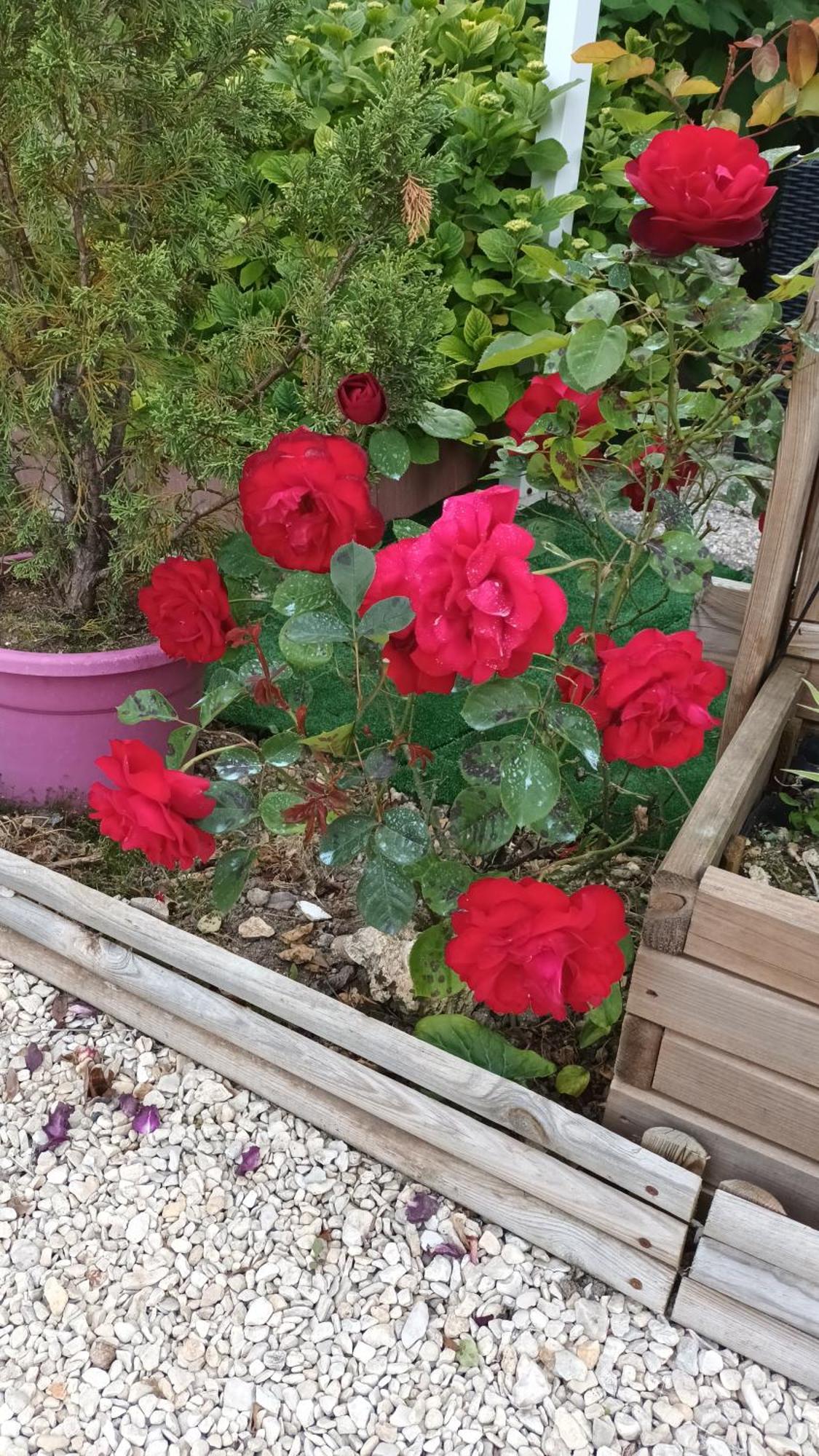 Le Clos Des Passiflores 퐁 외부 사진
